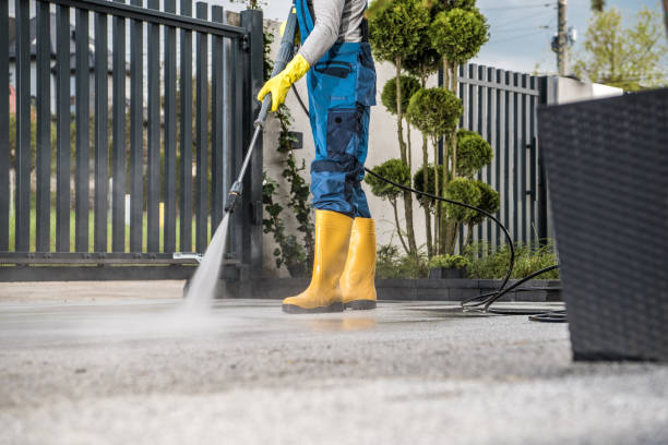 Best Patio and Deck Pressure Washing  in Tower Lakes, IL